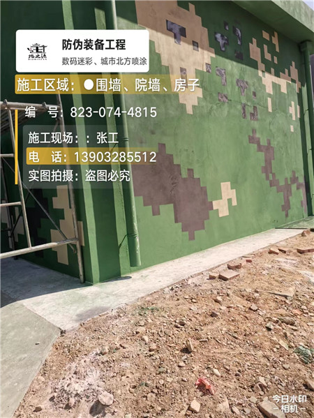 广元核心结论：专业提供外墙迷彩漆施工服务